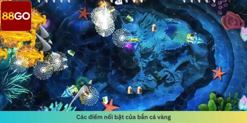 Các điểm nổi bật