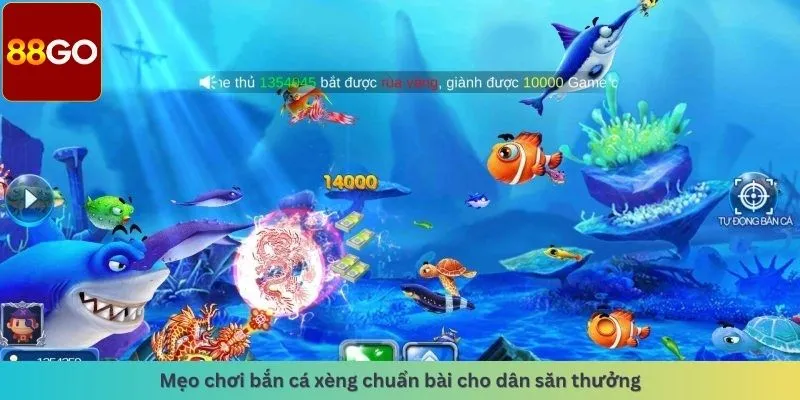 Mẹo chơi chuẩn bài cho dẫn thường