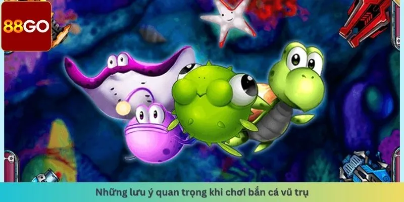 Những lưu ý quan trọng