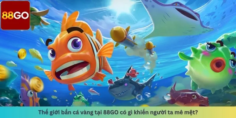 Có gì khiến người ta mê mệt?