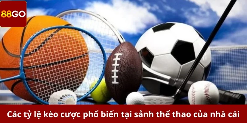 Các tỷ lệ kèo cược phổ biến tại sảnh thể thao của nhà cái