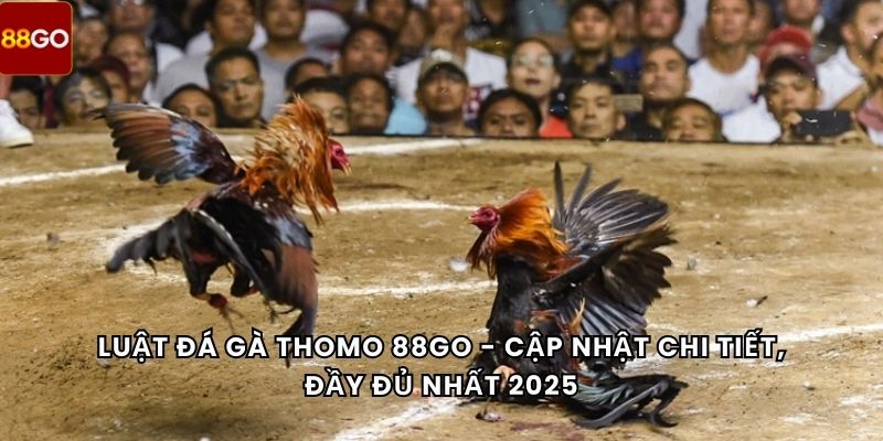 luật đá gà Thomo